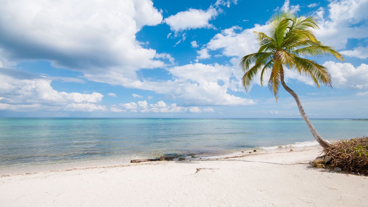 Photo of Others in Akumal