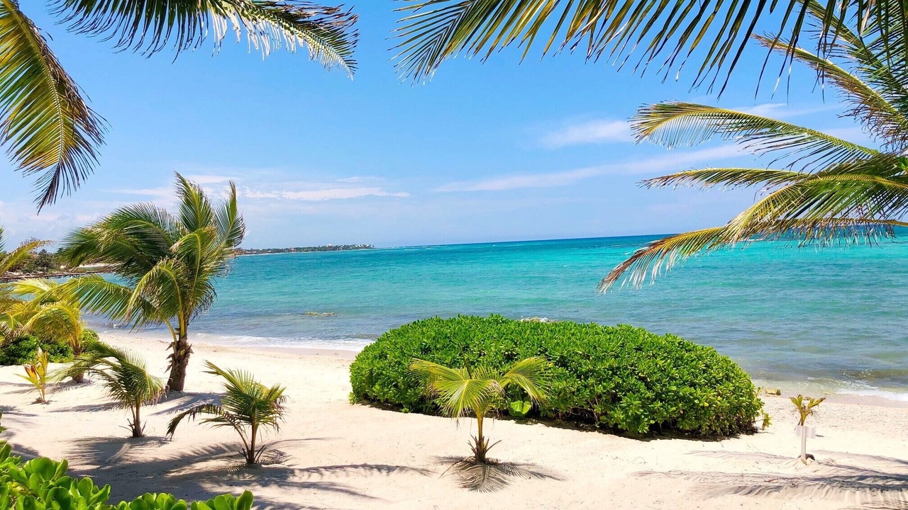 Photo of Others in Akumal