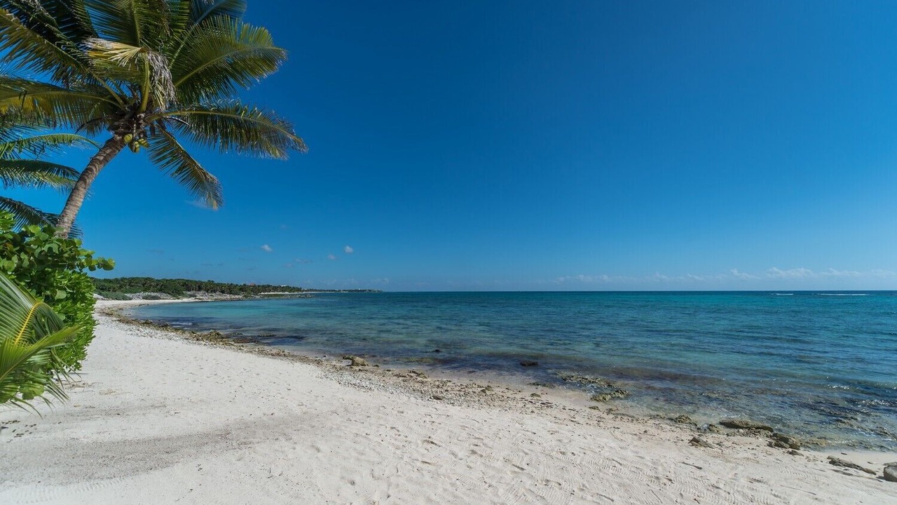 Photo of Others in Akumal