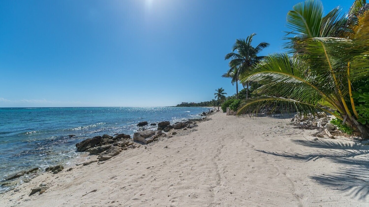 Photo of Others in Akumal
