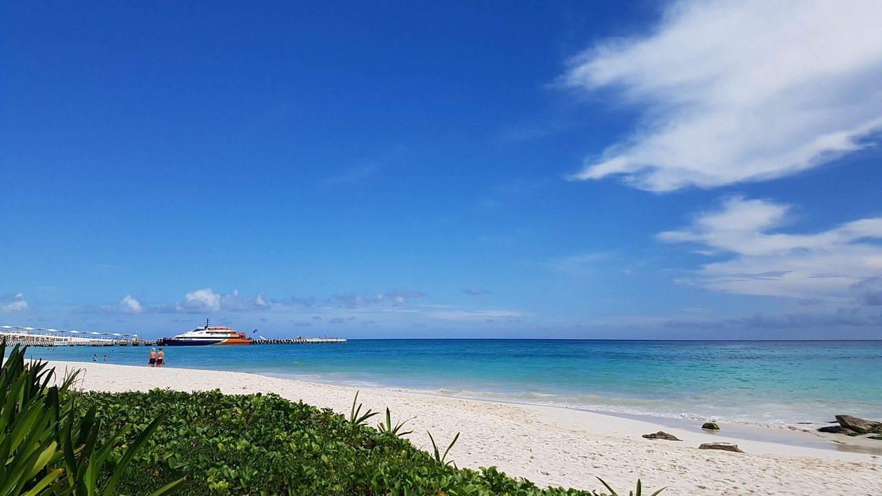 Photo of Others in Playacar Fase I