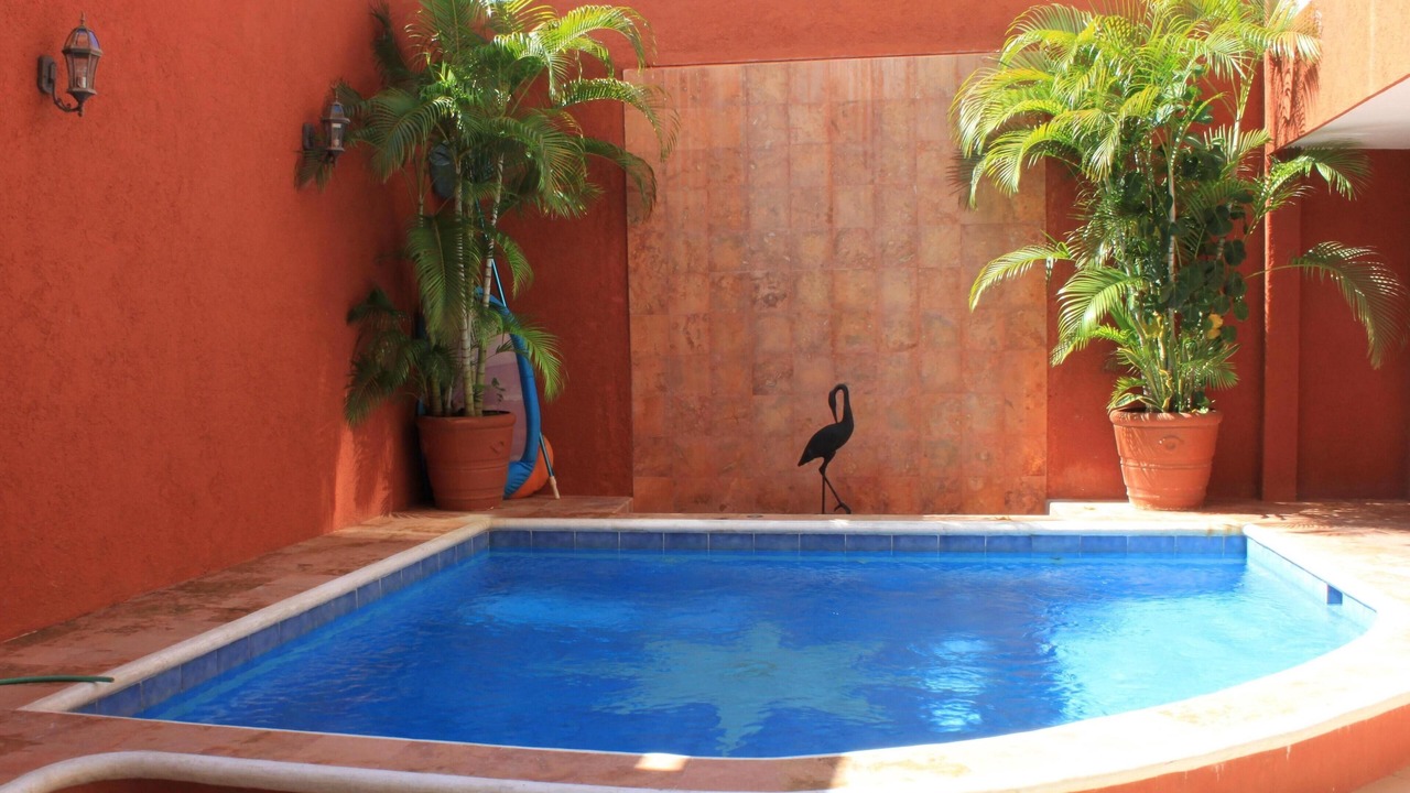 Photo of Outdoor in Colonia Andres