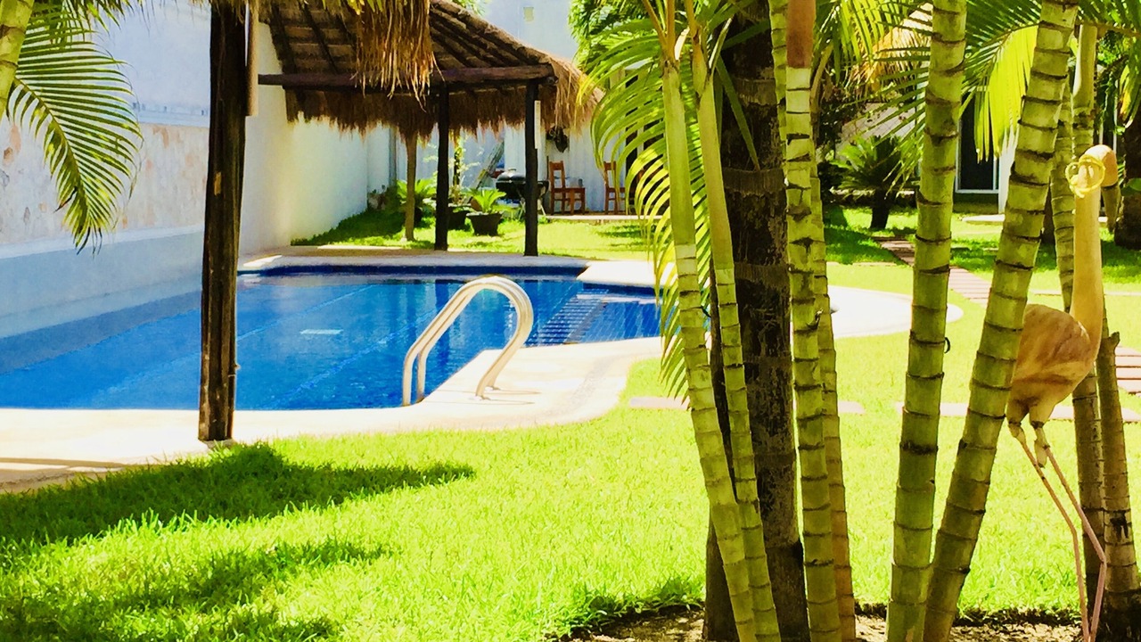 Photo of Outdoor in Playacar