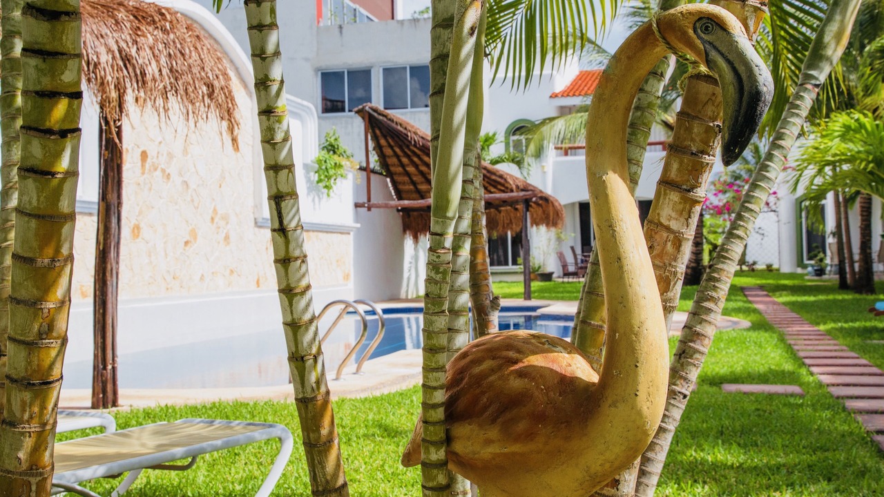 Photo of Outdoor in Playacar