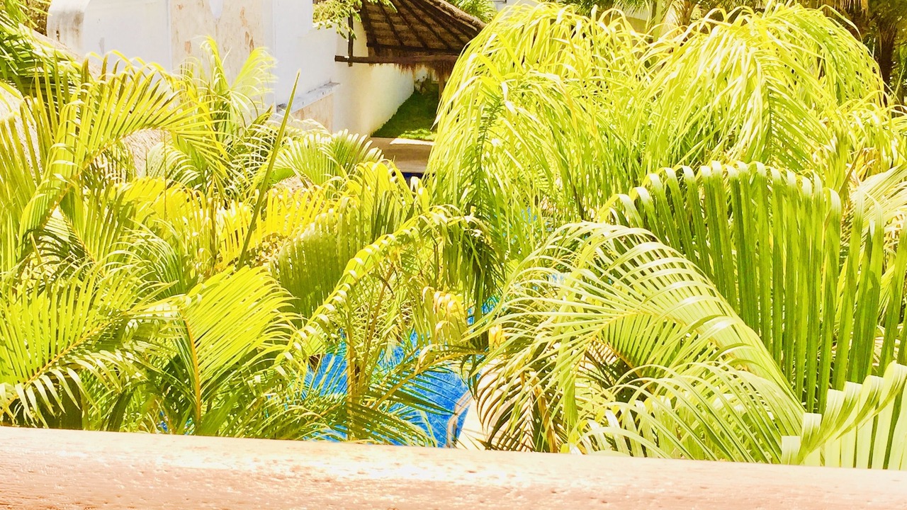 Photo of Outdoor in Playacar