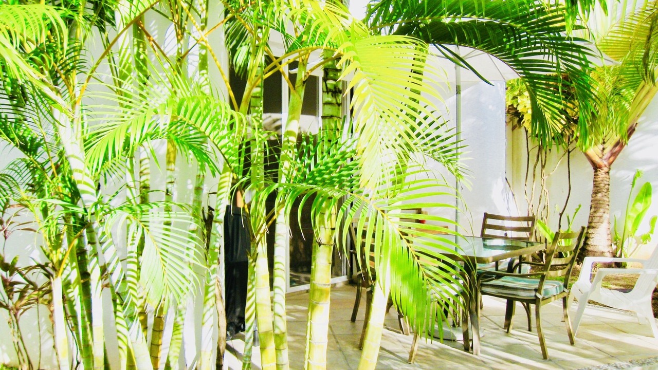 Photo of Outdoor in Playacar