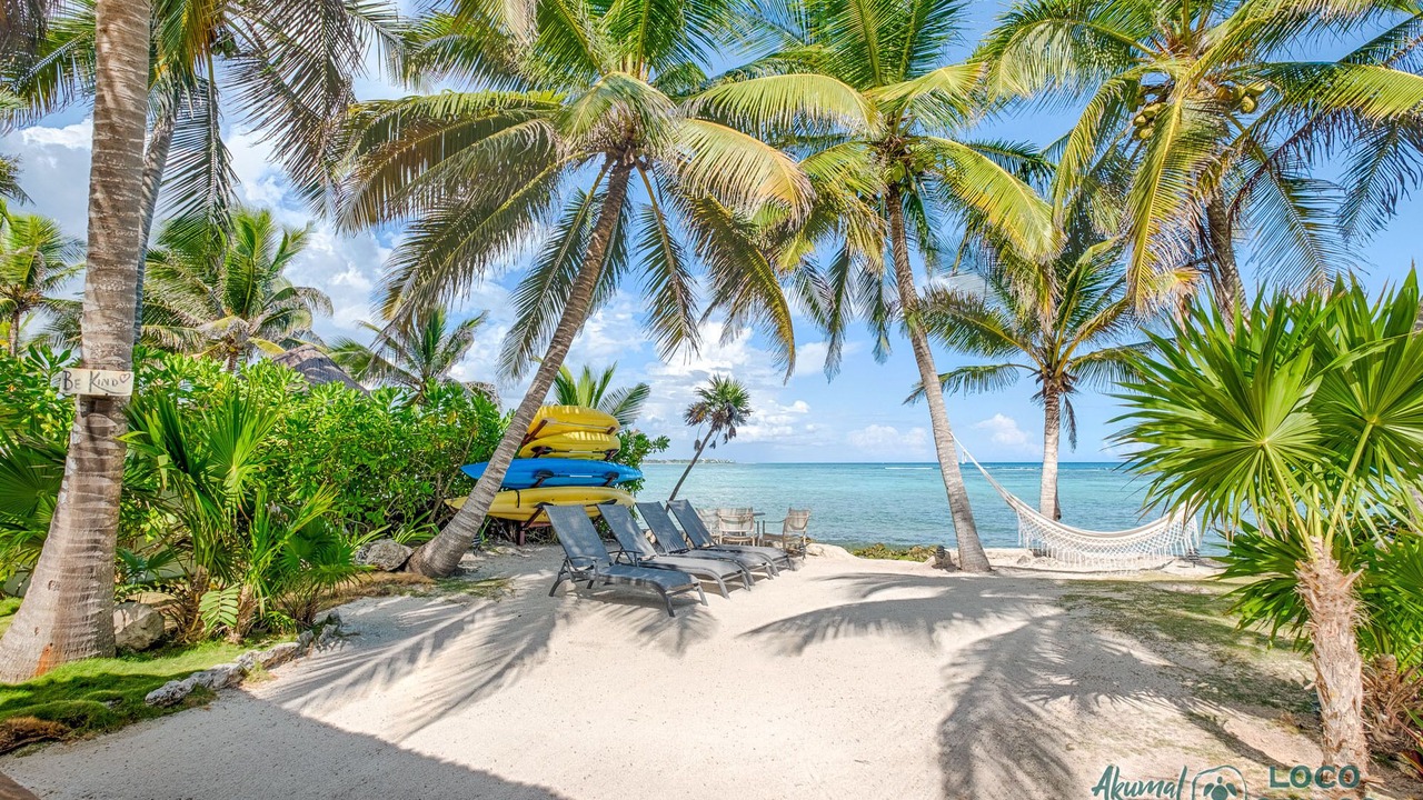 Photo of Others in Akumal