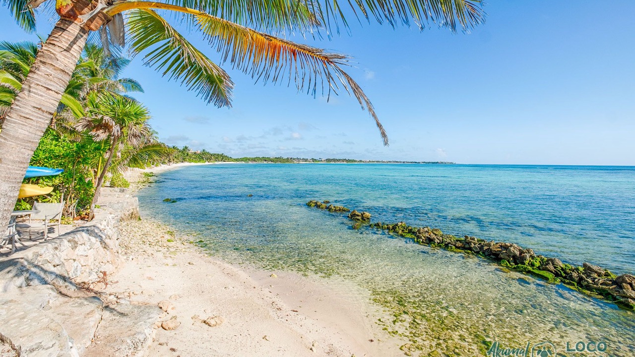 Photo of Others in Akumal