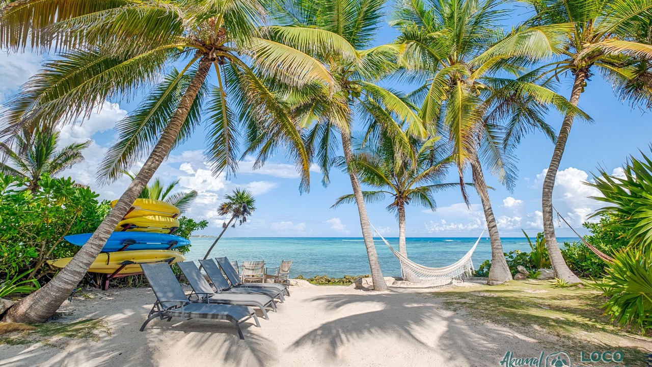 Photo of Others in Akumal