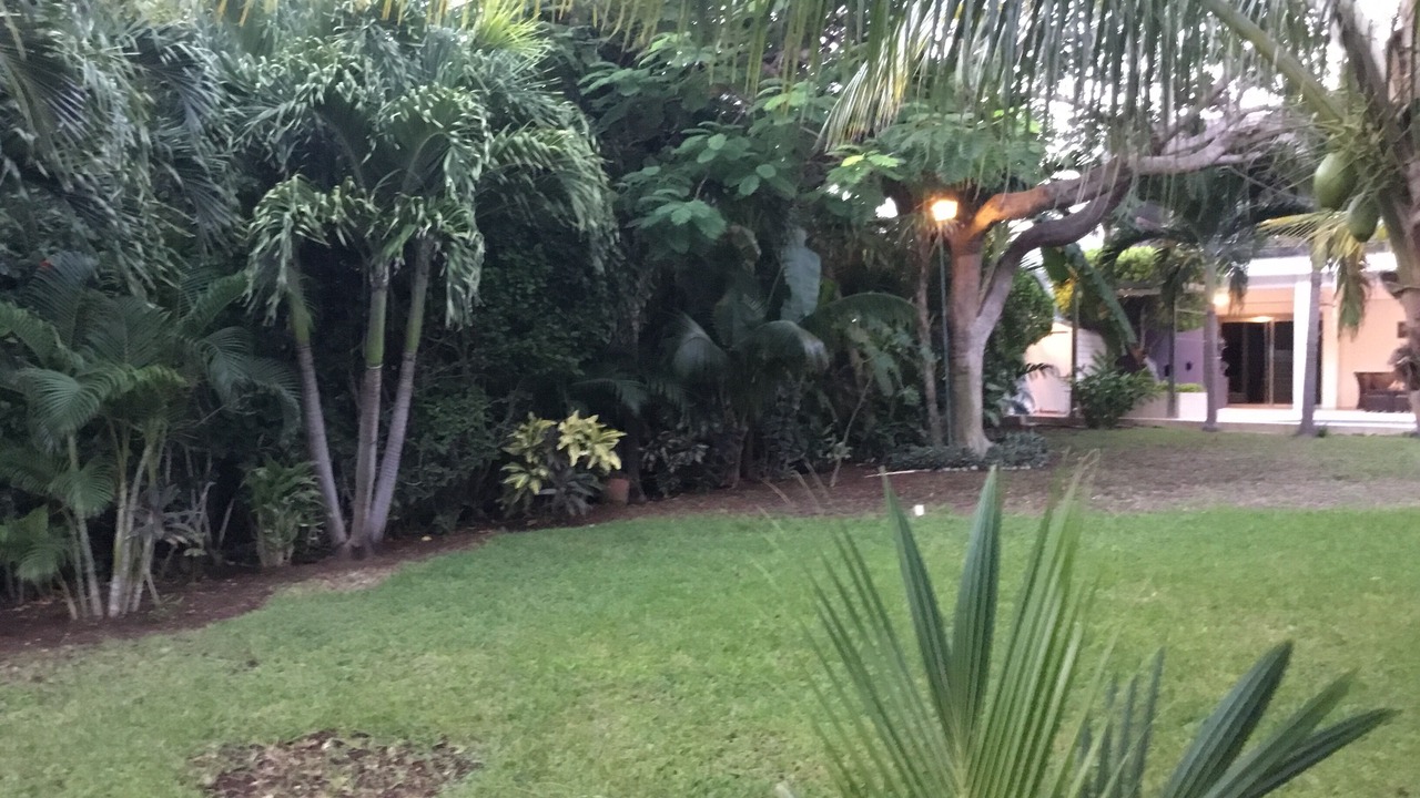 Photo of Outdoor in Punta Cancun