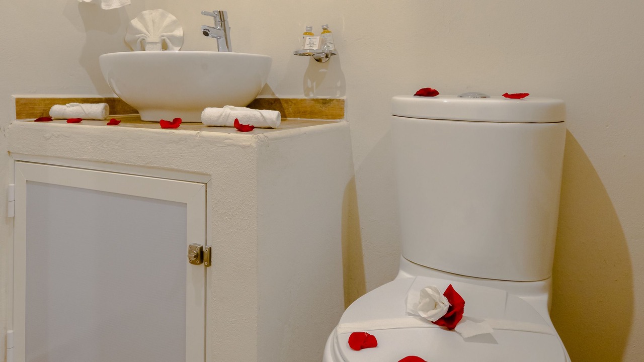 Photo of Bathroom in Ejidal