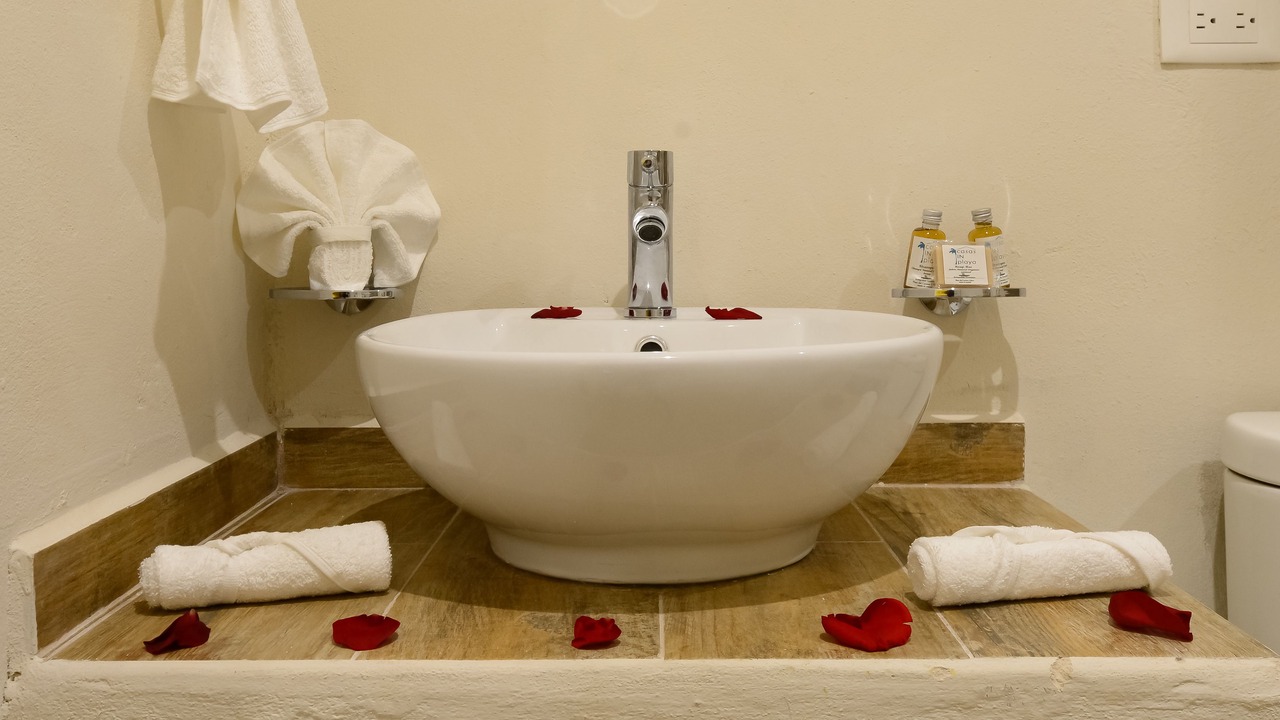 Photo of Bathroom in Ejidal
