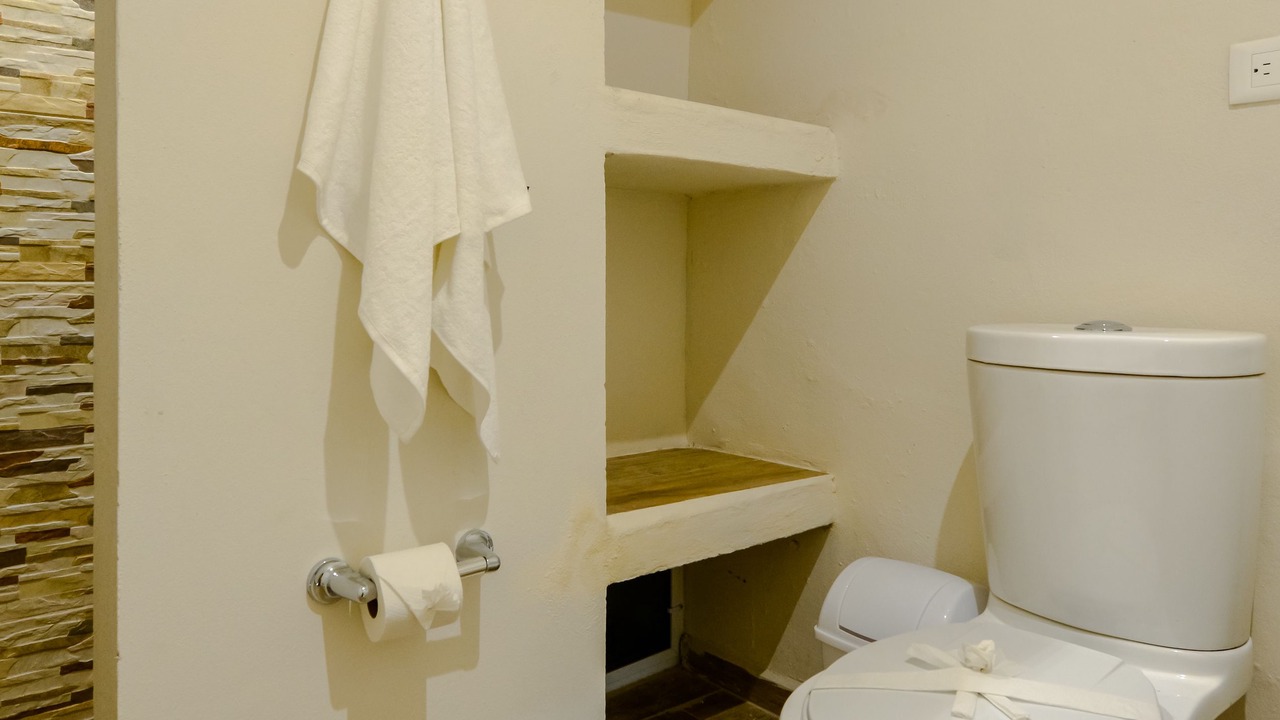 Photo of Bathroom in Ejidal