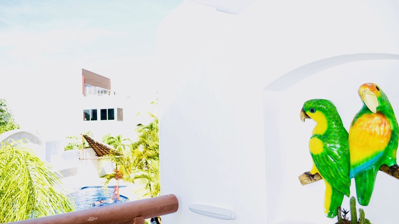 Photo of Outdoor in Playacar