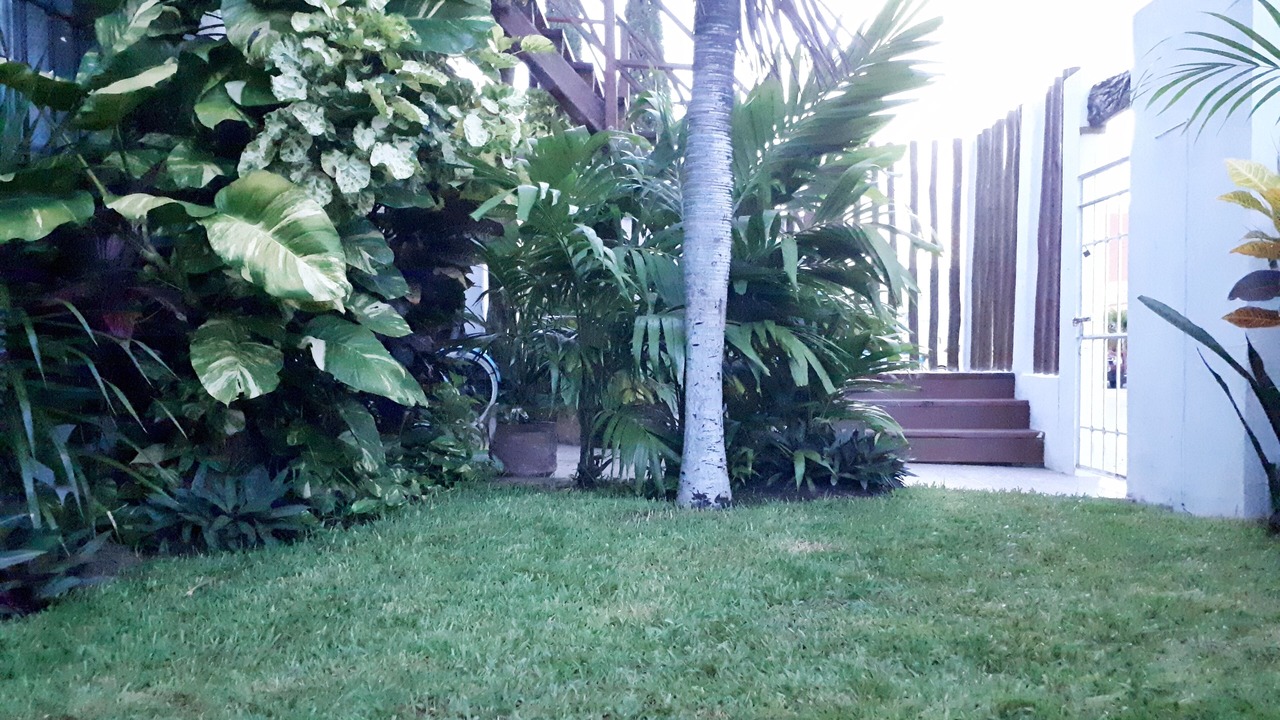 Photo of Outdoor in Cancun