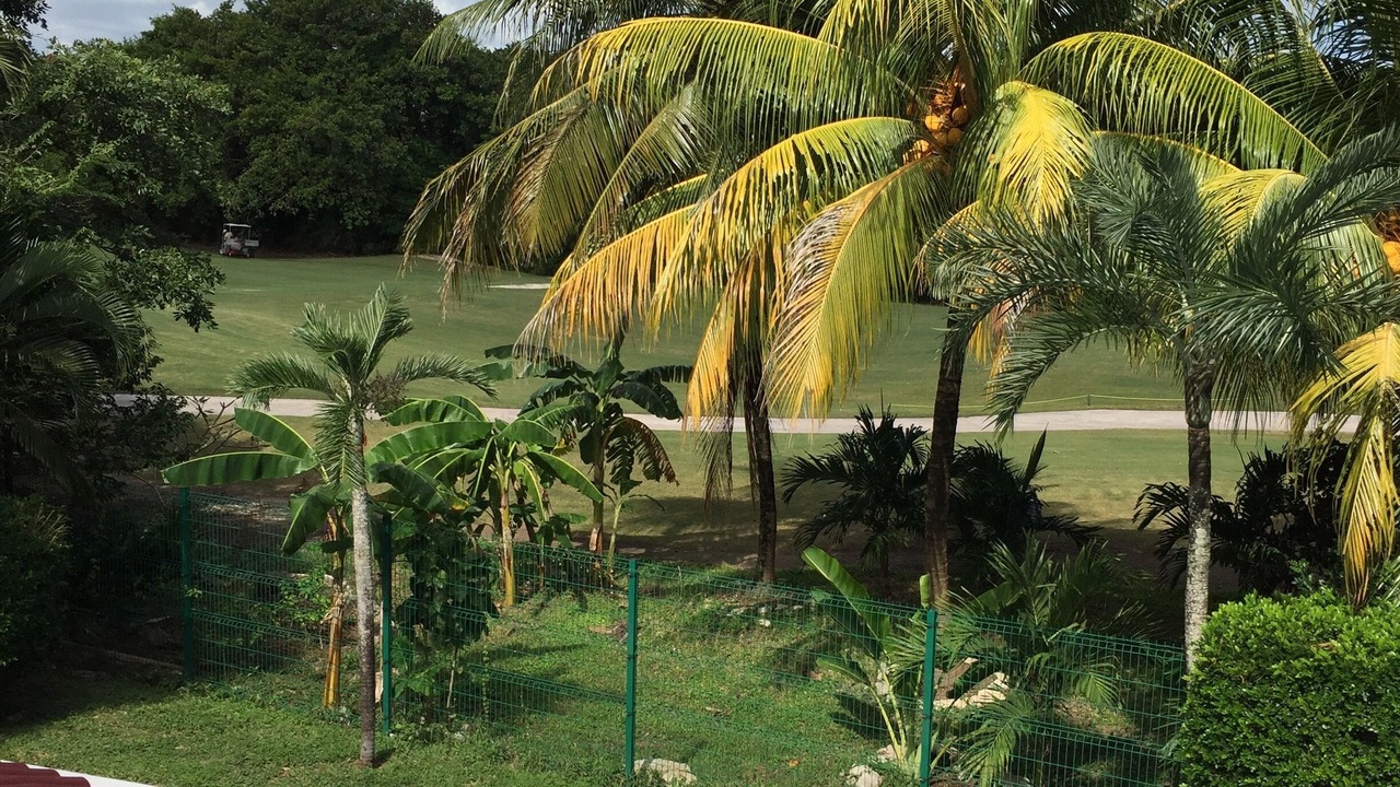 Photo of Outdoor in Playacar