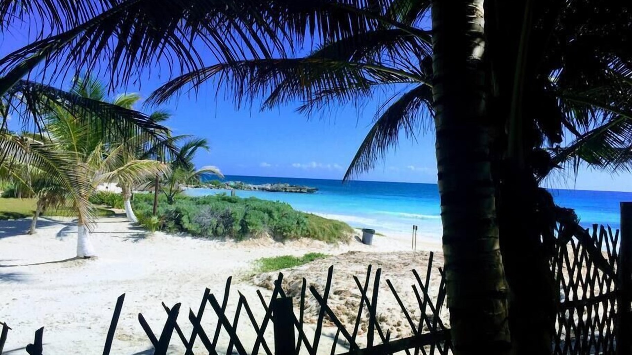 Photo of Others in Tulum City Center