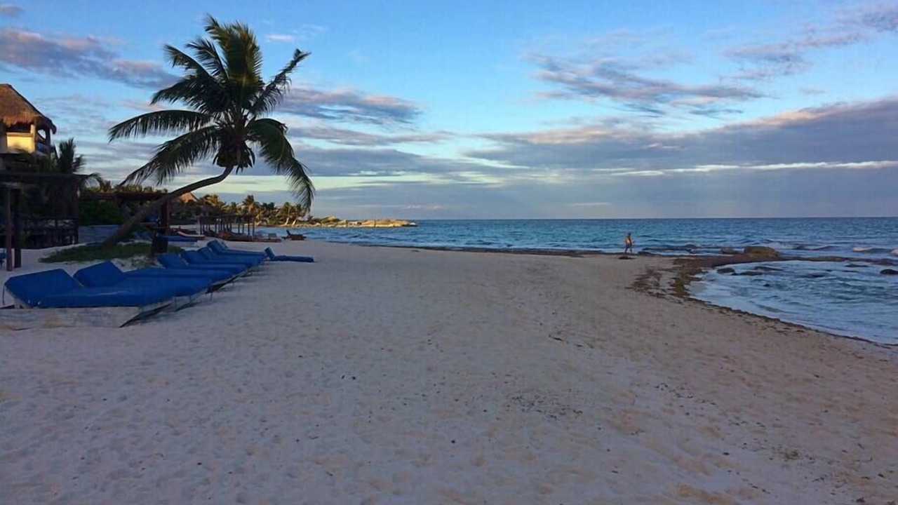 Photo of Others in Tulum City Center