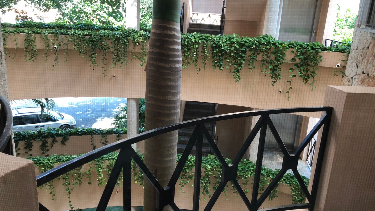 Photo of Outdoor in Puerto Aventuras