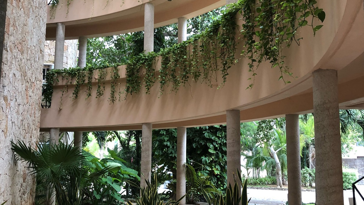 Photo of Outdoor in Puerto Aventuras
