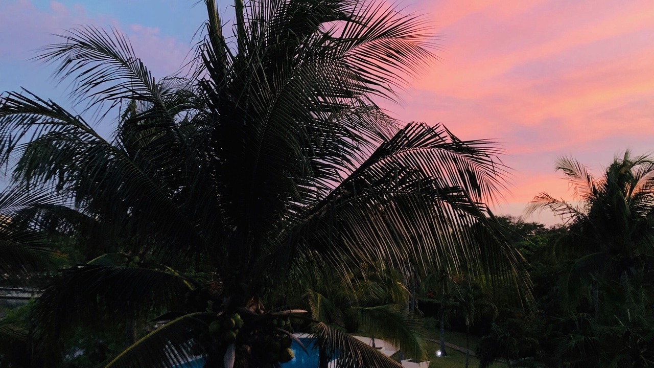 Photo of Outdoor in Puerto Aventuras