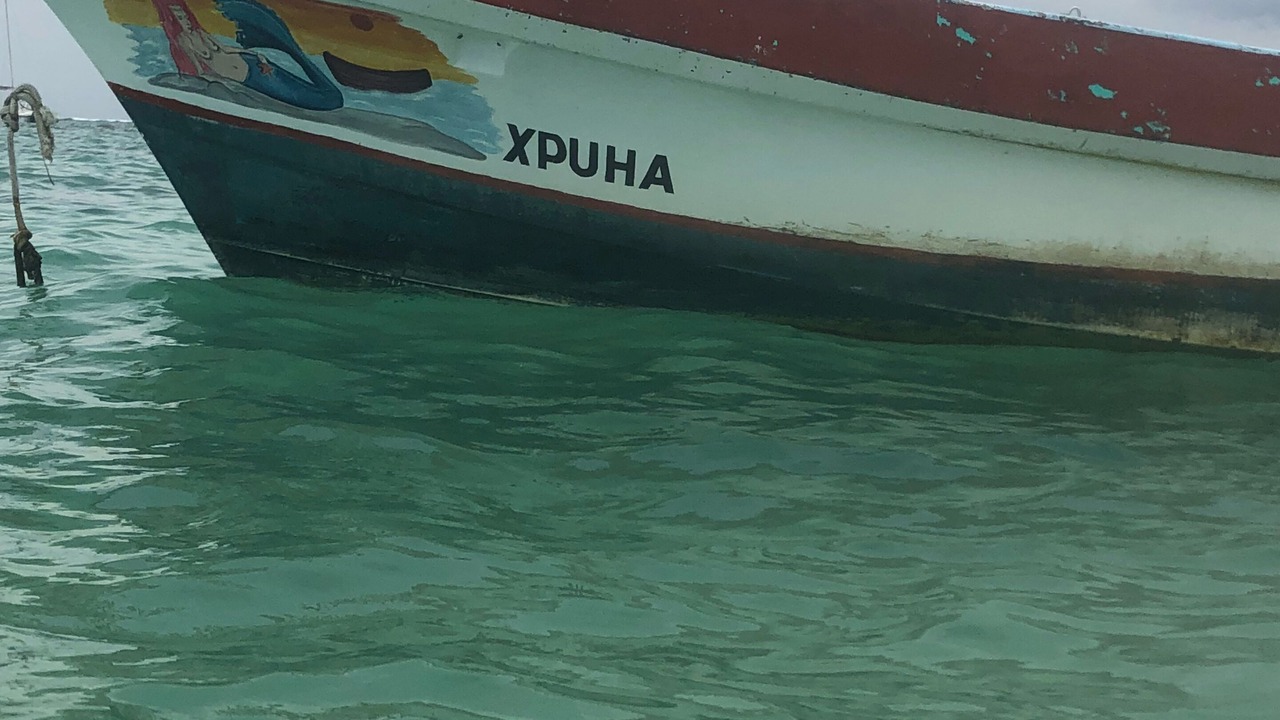 Photo of Others in Puerto Aventuras