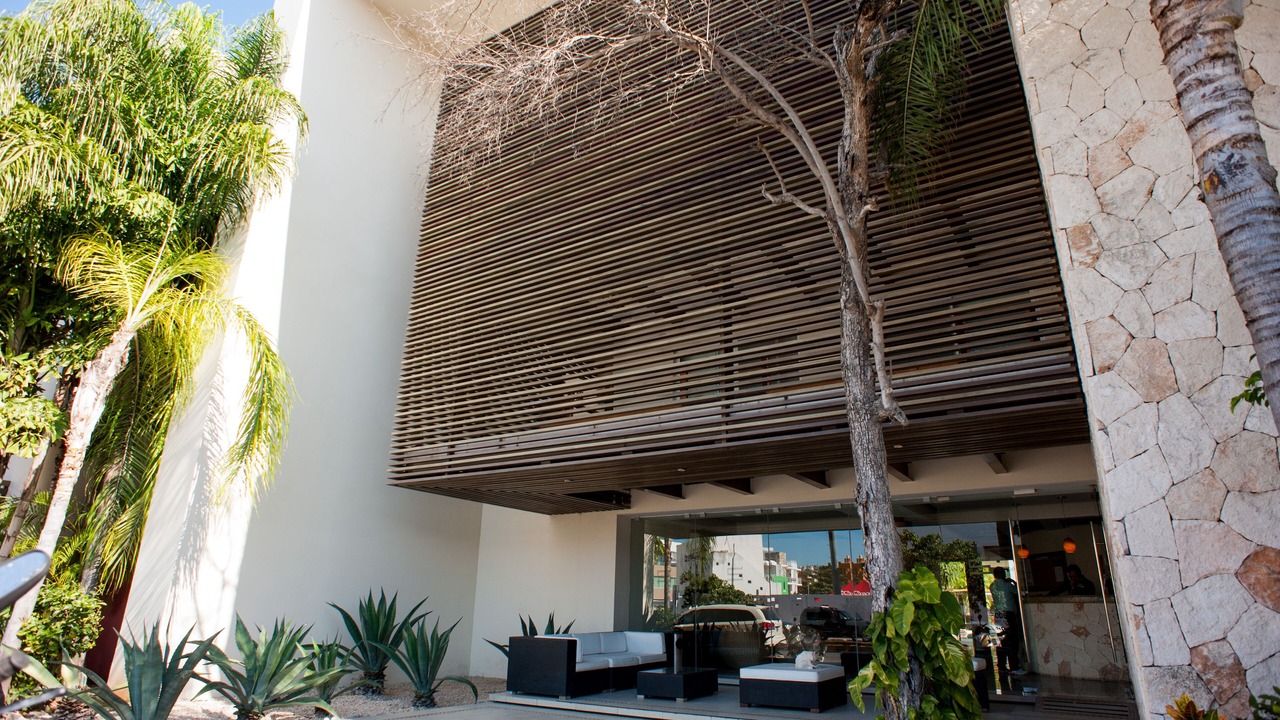 Photo of Outdoor in Gonzalo Guerrero