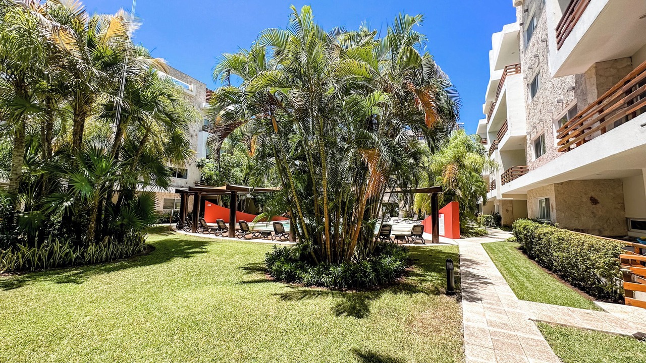 Photo of Outdoor in Gonzalo Guerrero