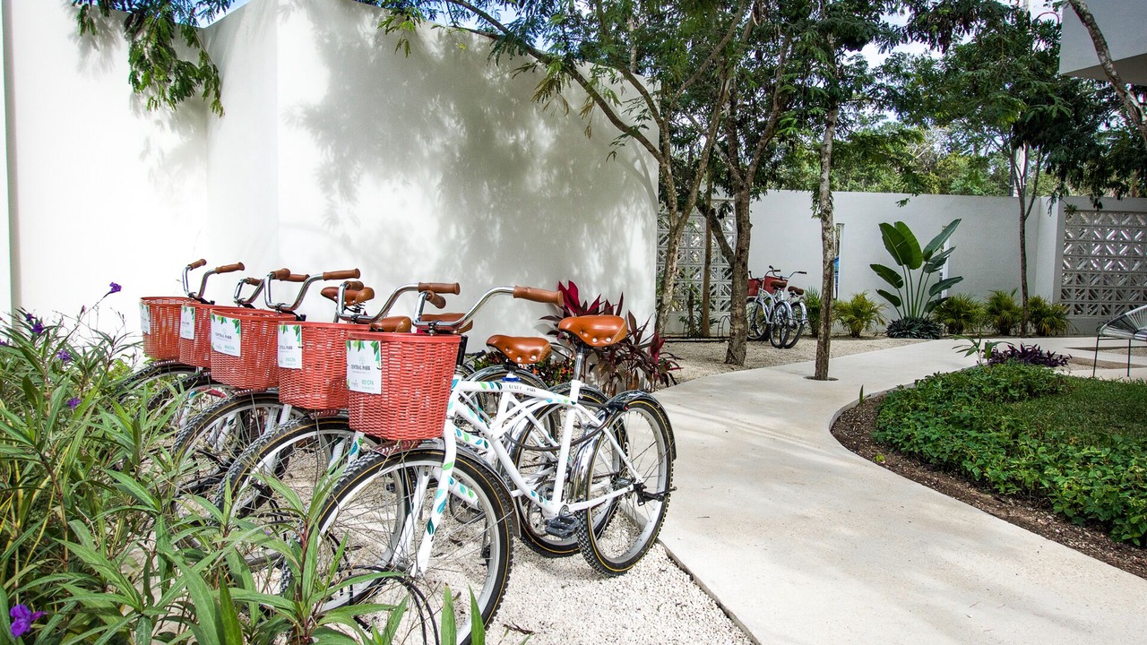 Photo of Others in Tulum