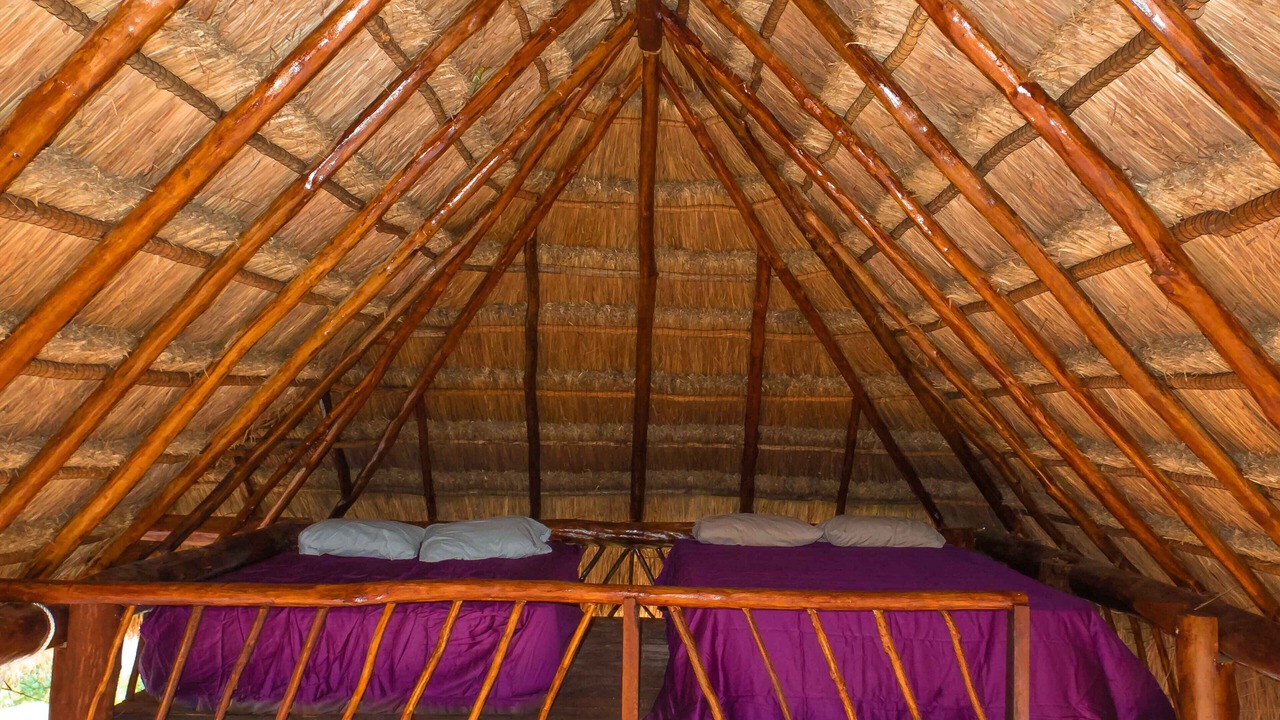Photo of Others in Akumal