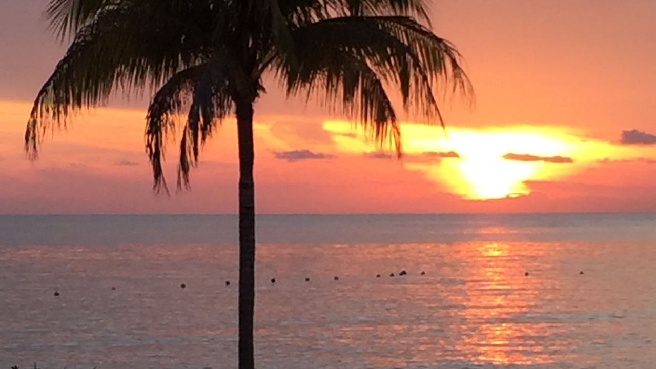 Photo of Others in Costa Maya