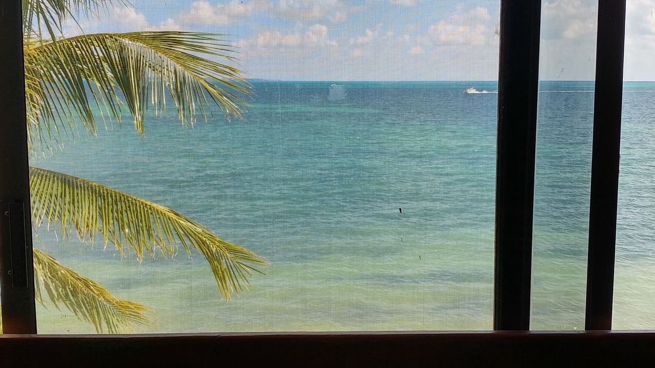 Photo of Others in Zona Hotelera