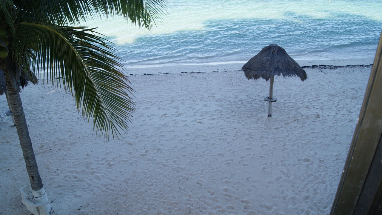 Photo of Others in Zona Hotelera