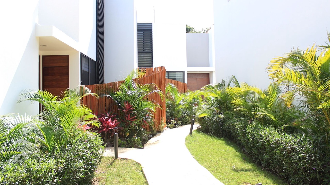 Photo of Outdoor in Akumal