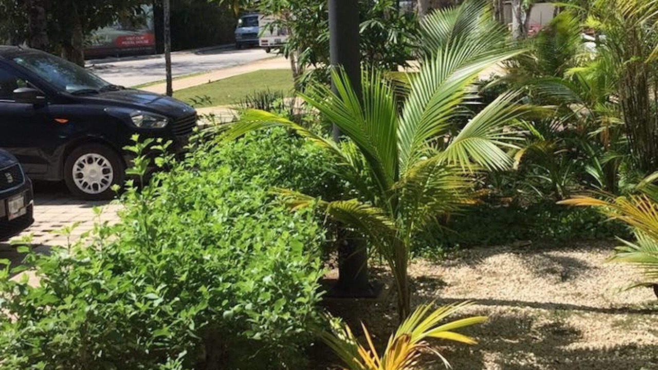 Photo of Outdoor in Akumal