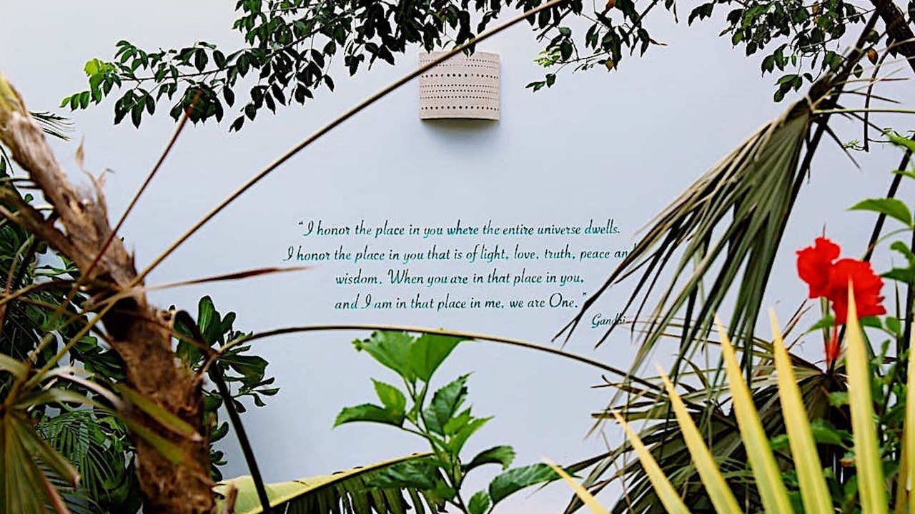 Photo of Outdoor in Akumal