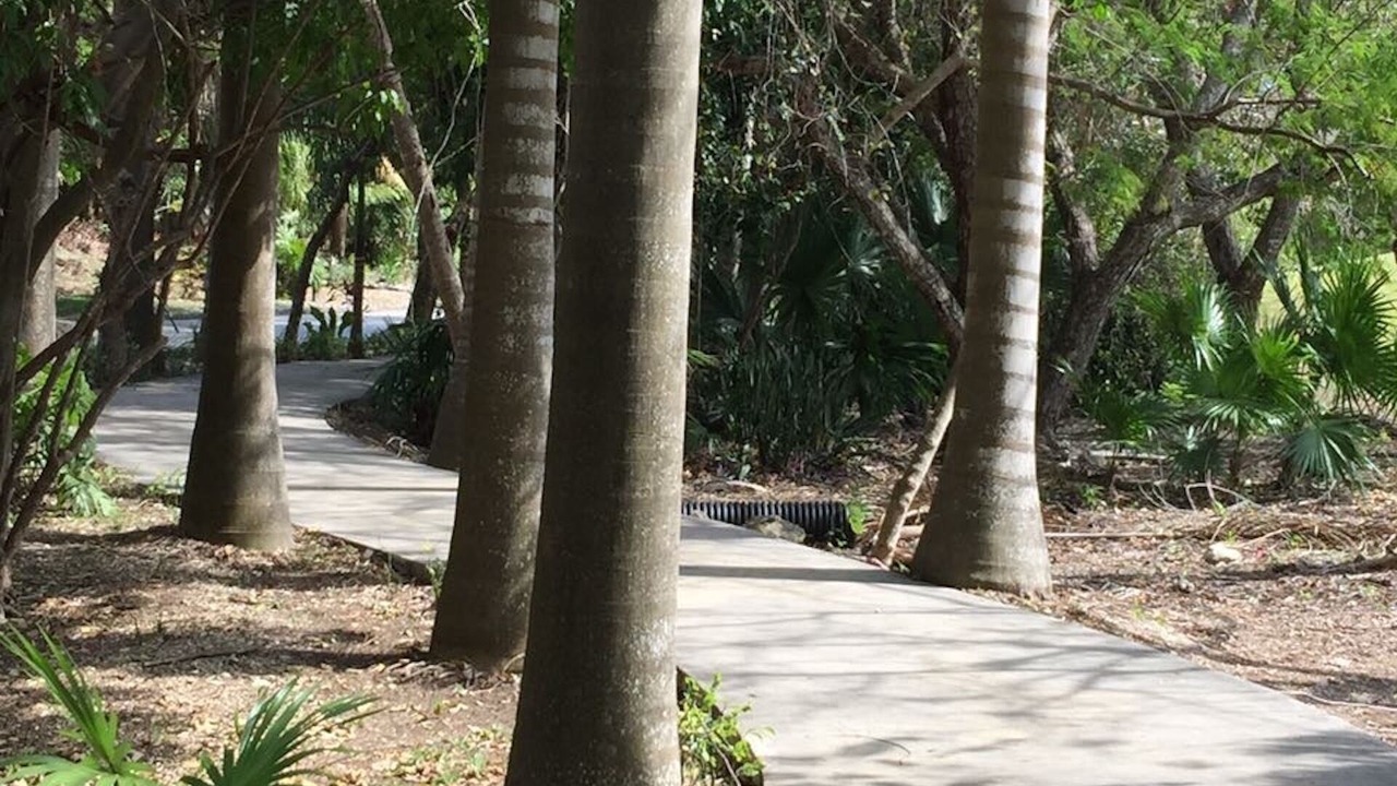 Photo of Outdoor in Akumal