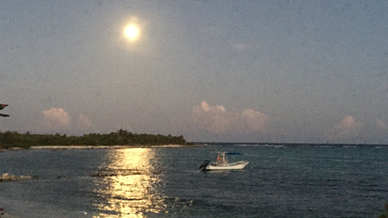 Photo of Others in Akumal