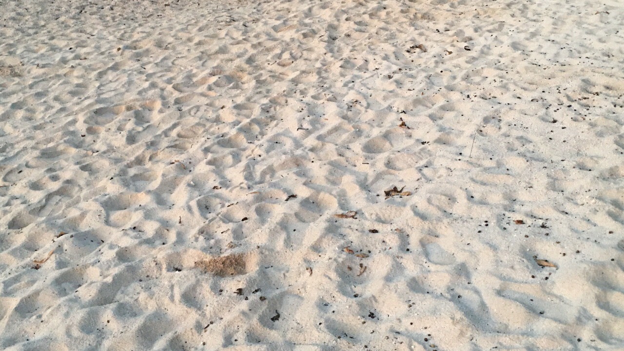 Photo of Others in Akumal