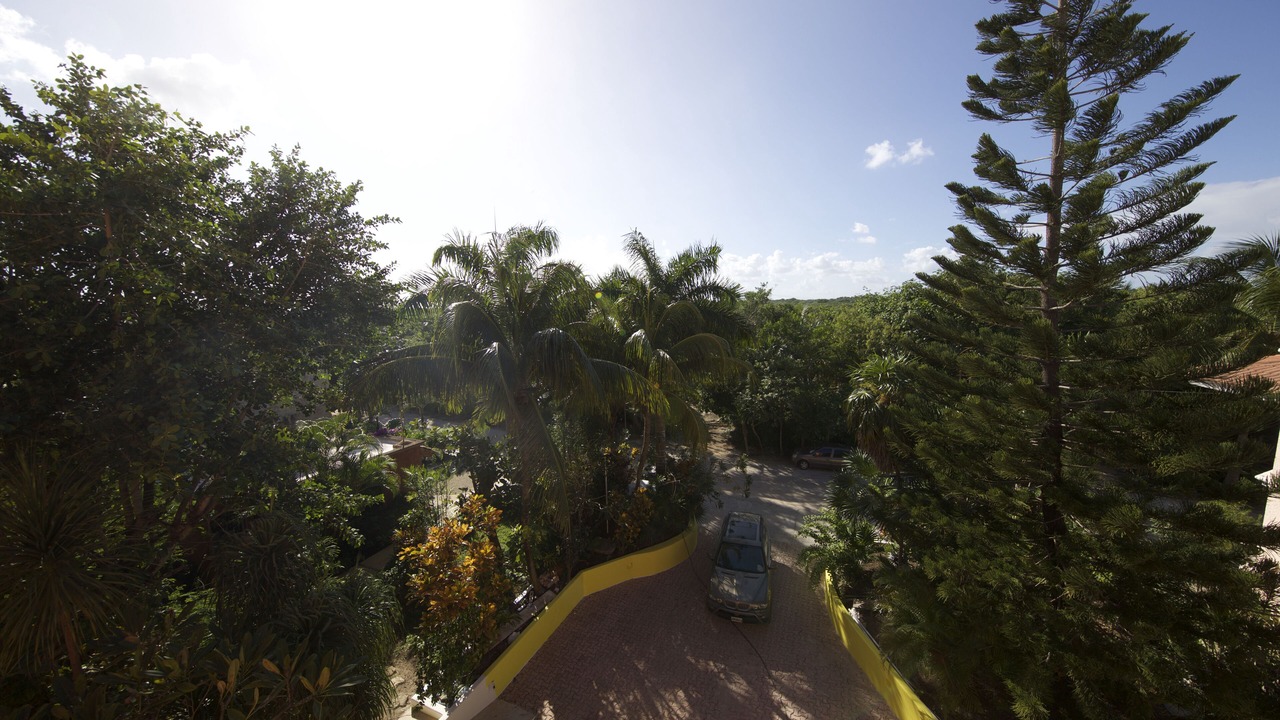 Photo of Outdoor in Akumal