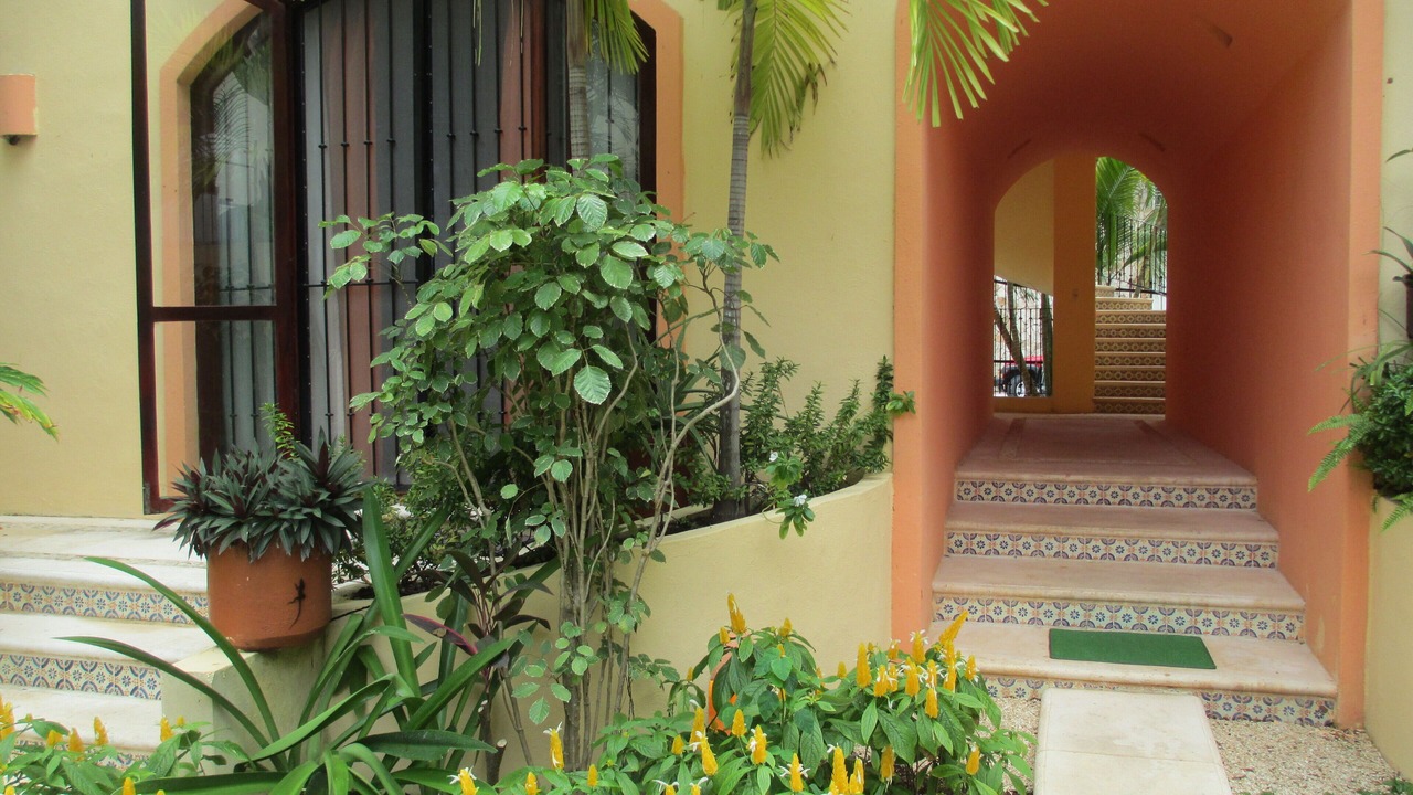 Photo of Others in Gonzalo Guerrero