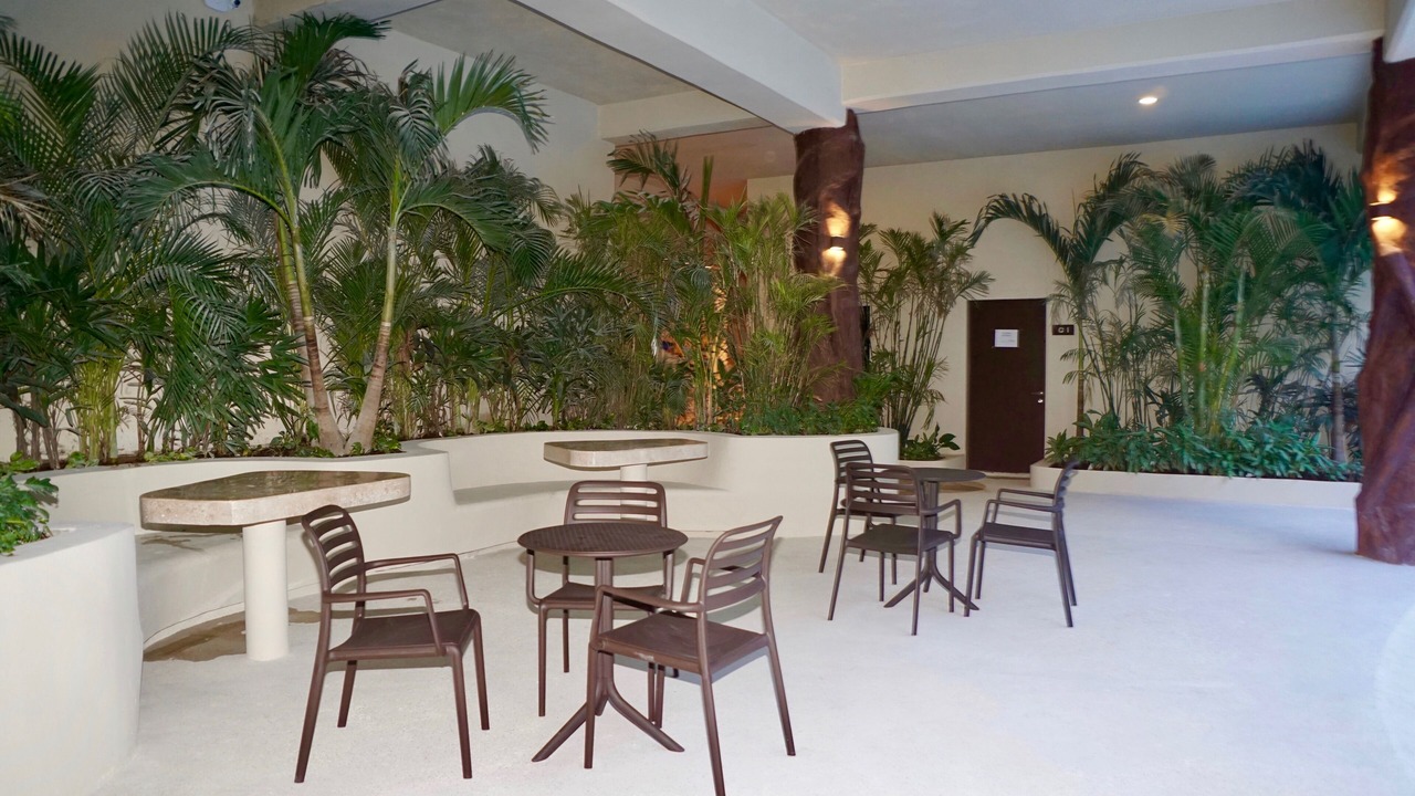 Photo of Outdoor in Gonzalo Guerrero