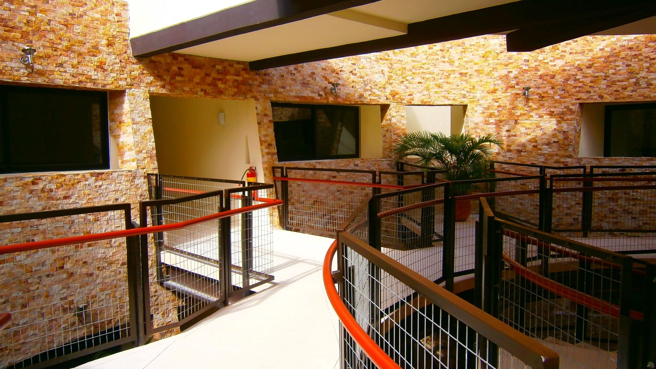 Photo of Outdoor in Zazil-ha