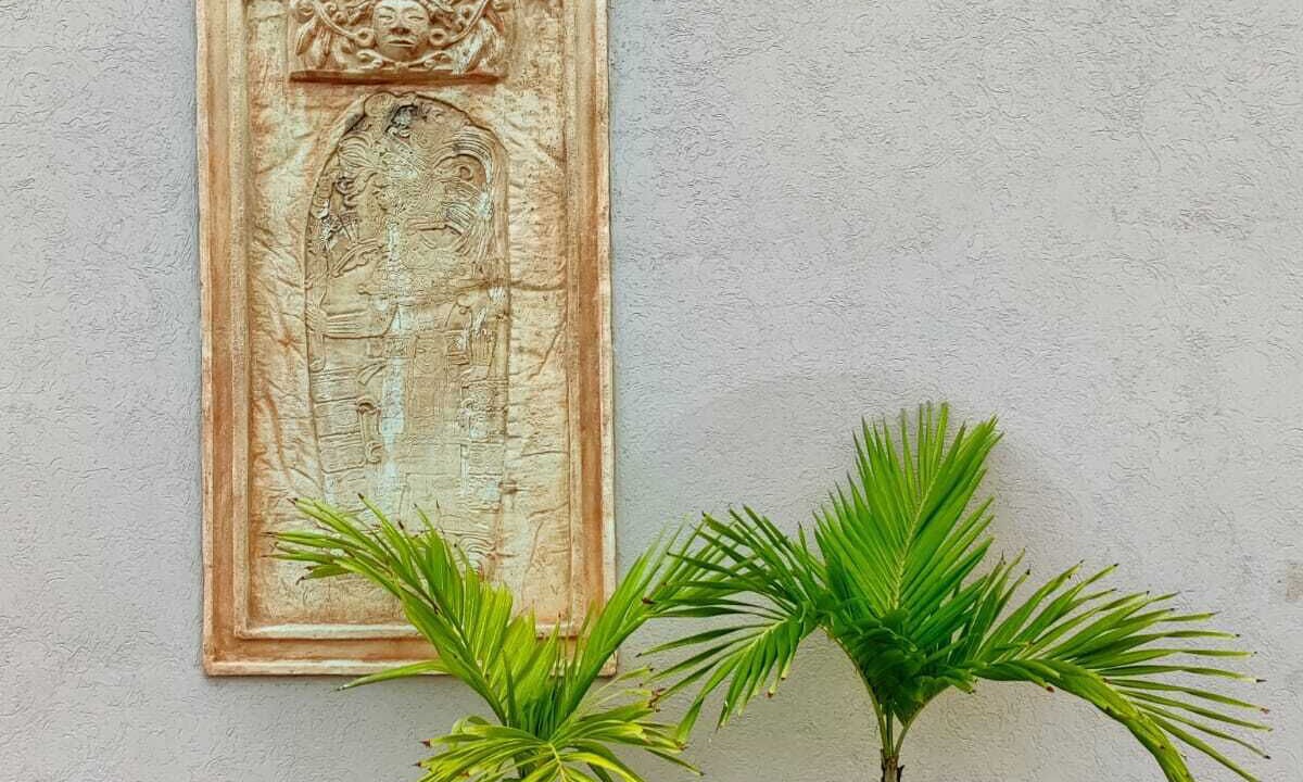 Photo of Outdoor in Colonia Andres