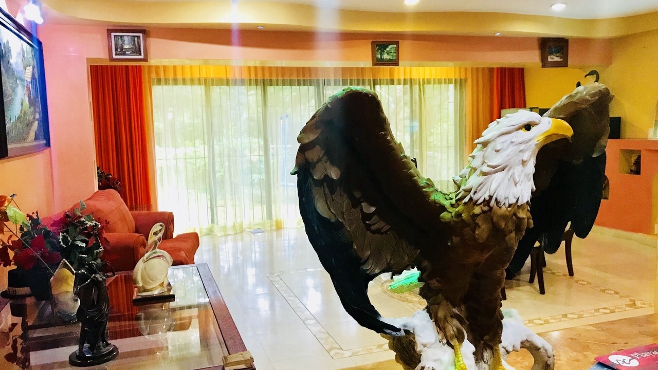 Photo of Others in Playacar