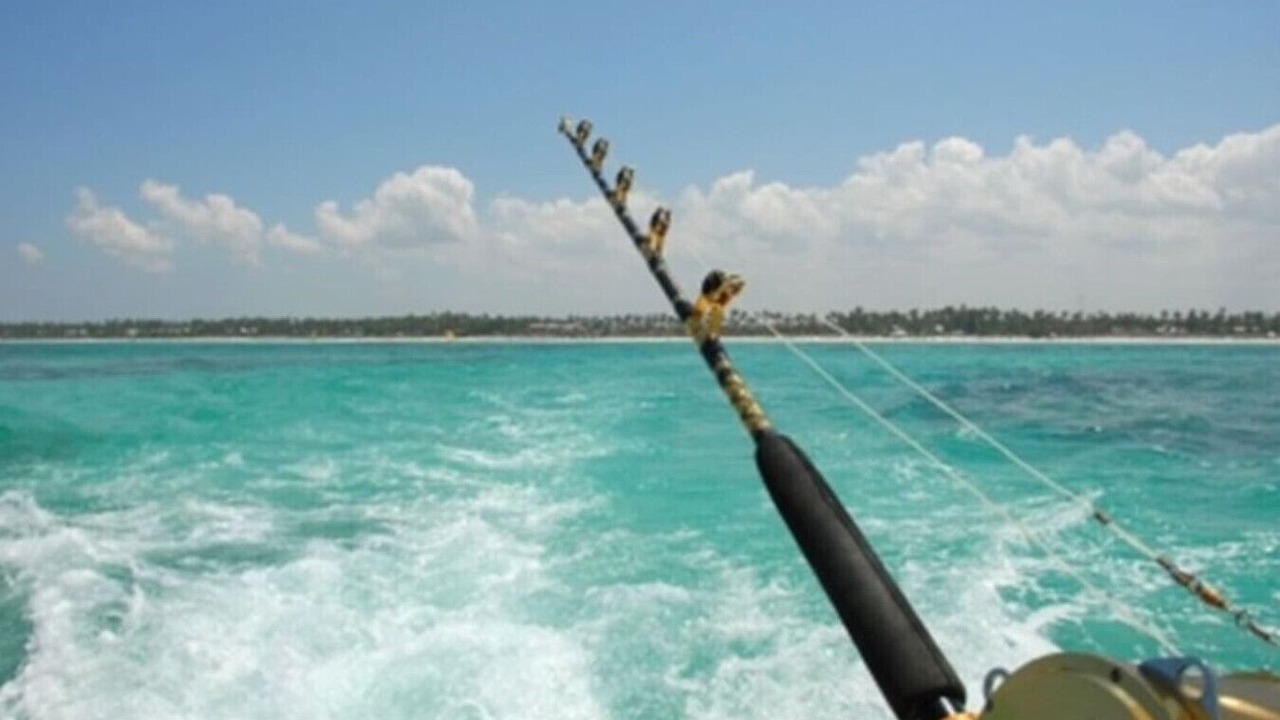Photo of Others in Puerto Aventuras