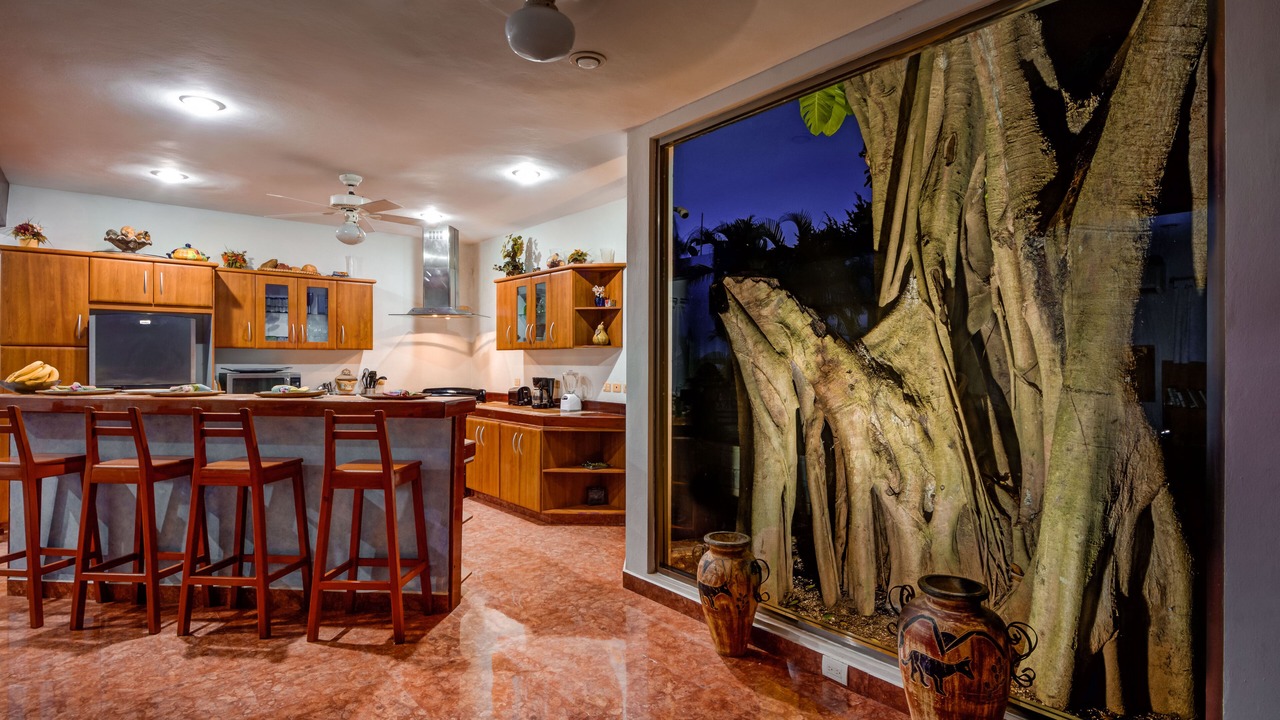 Photo of Kitchen in Playacar Fase I