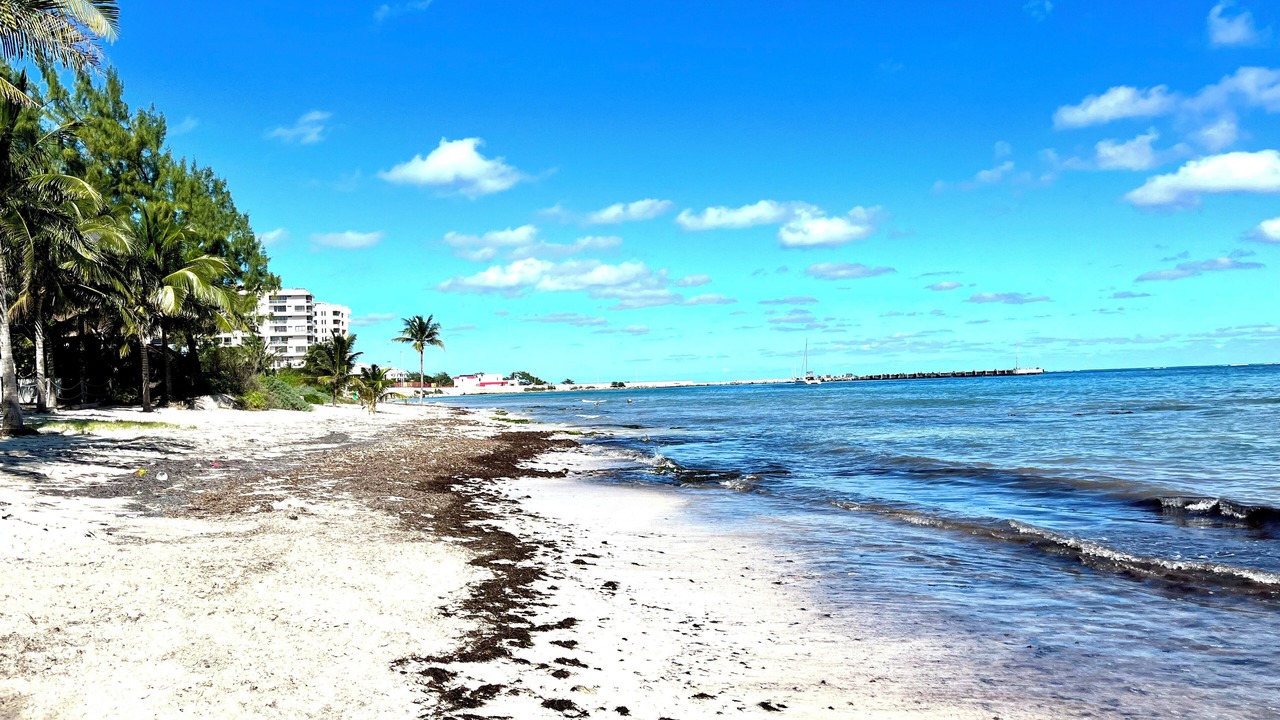 Photo of Others in Puerto Morelos