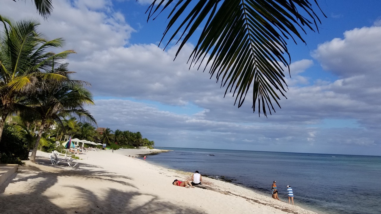 Photo of Others in Akumal