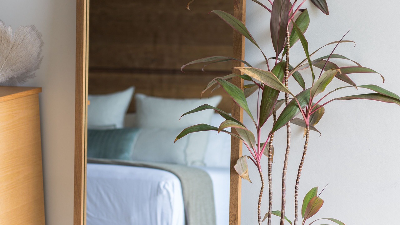 Photo of Bedroom in Zama